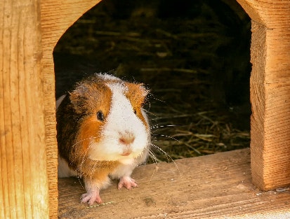 Produkt Bild